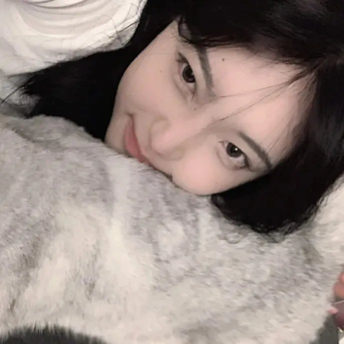 猎鹰追击